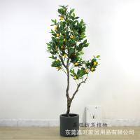 uploads/erp/collection/images/Home Garden/dgjiawang/XU0612825/img_b/XU0612825_img_b_3